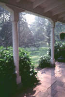 The Back Porch